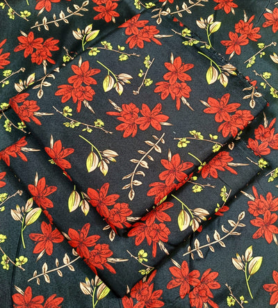 Lawn Cotton 2PC