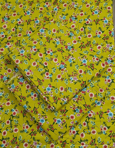 Lawn Cotton 2PC