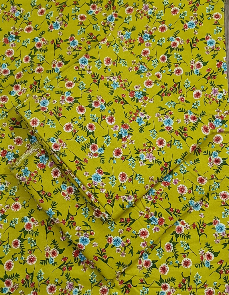 Lawn Cotton 2PC