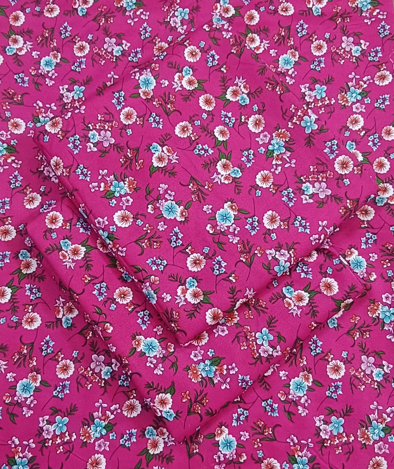Lawn Cotton 2PC